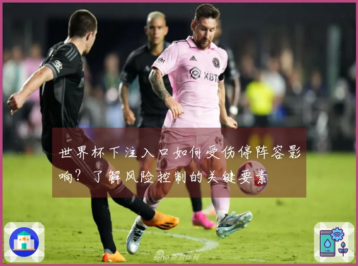 世界杯下注入口如何受伤停阵容影响？了解风险控制的关键要素