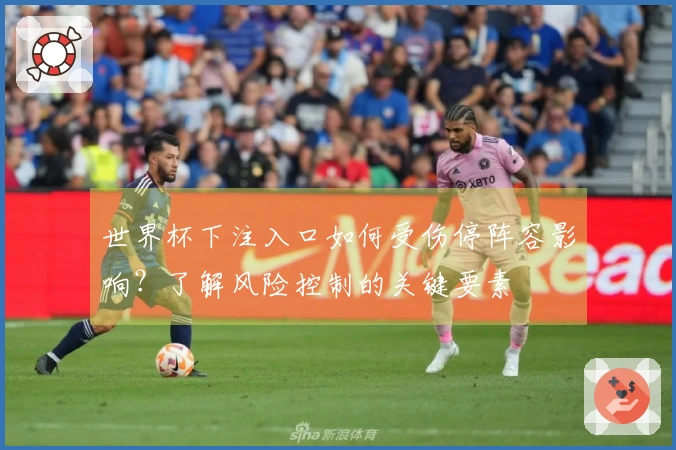 世界杯下注入口如何受伤停阵容影响？了解风险控制的关键要素