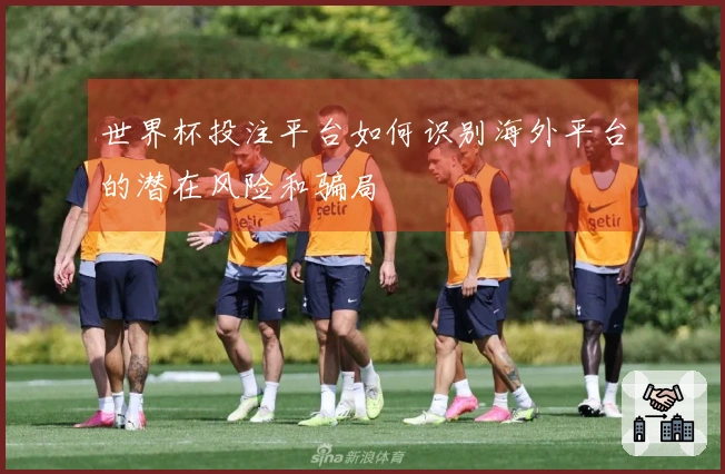 世界杯投注平台如何识别海外平台的潜在风险和骗局