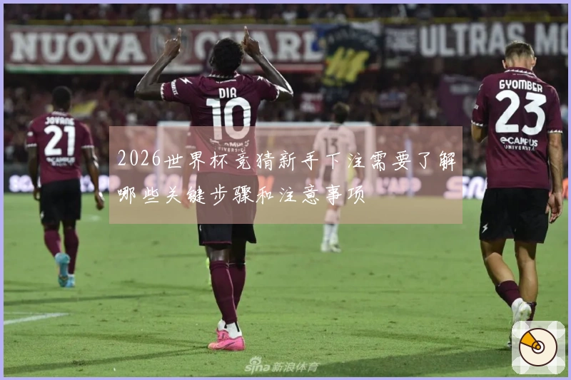 2026世界杯竞猜新手下注需要了解哪些关键步骤和注意事项