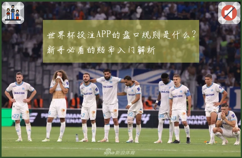 世界杯投注APP的盘口规则是什么？新手必看的赔率入门解析