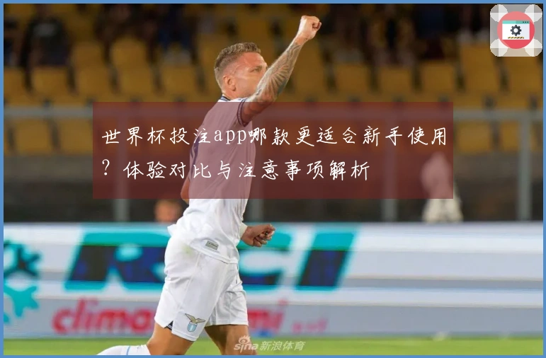 世界杯投注app哪款更适合新手使用？体验对比与注意事项解析