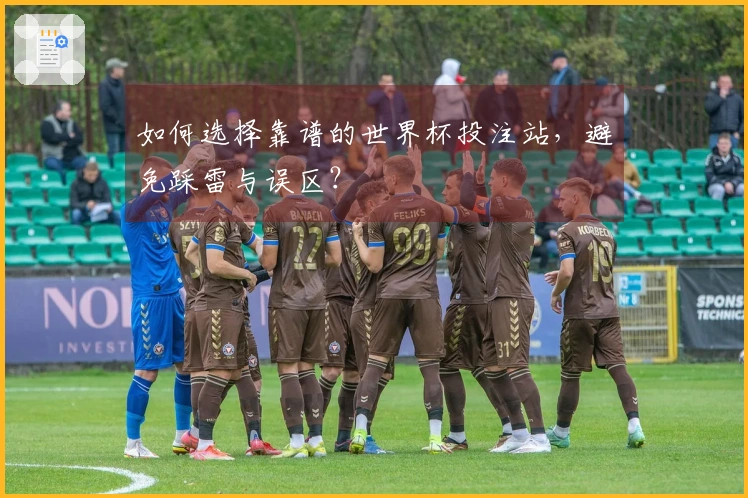 如何选择靠谱的世界杯投注站，避免踩雷与误区？